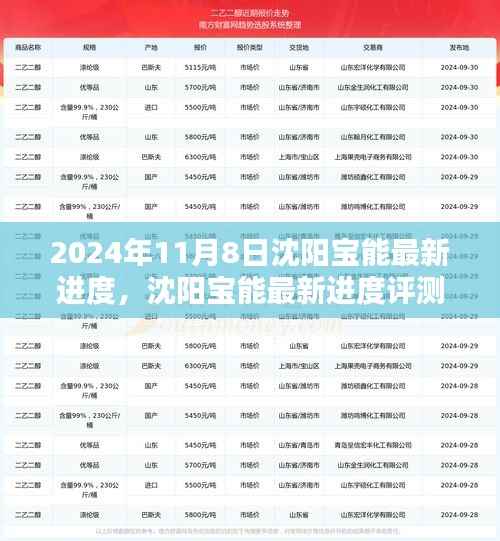沈阳宝能最新进度深度解析，产品特性与用户体验评测报告