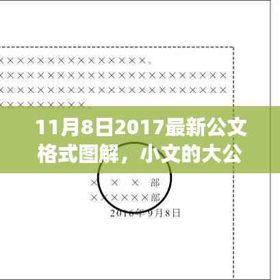 11月8日最新公文格式图解,小文的大公文梦与图解之旅