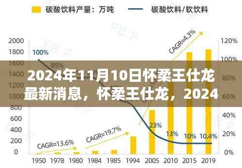 怀柔王仕龙最新动态与深远影响力揭晓，2024年11月10日更新