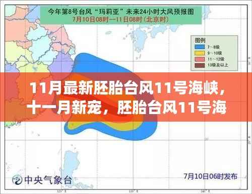 胚胎台风11号海峡,奇妙之旅开启