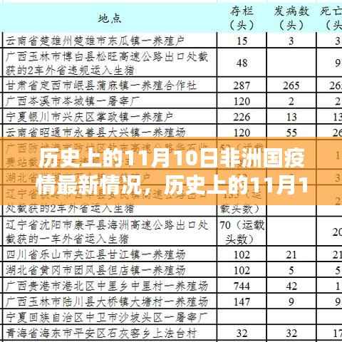 历史上的11月10日非洲疫情最新进展与动态