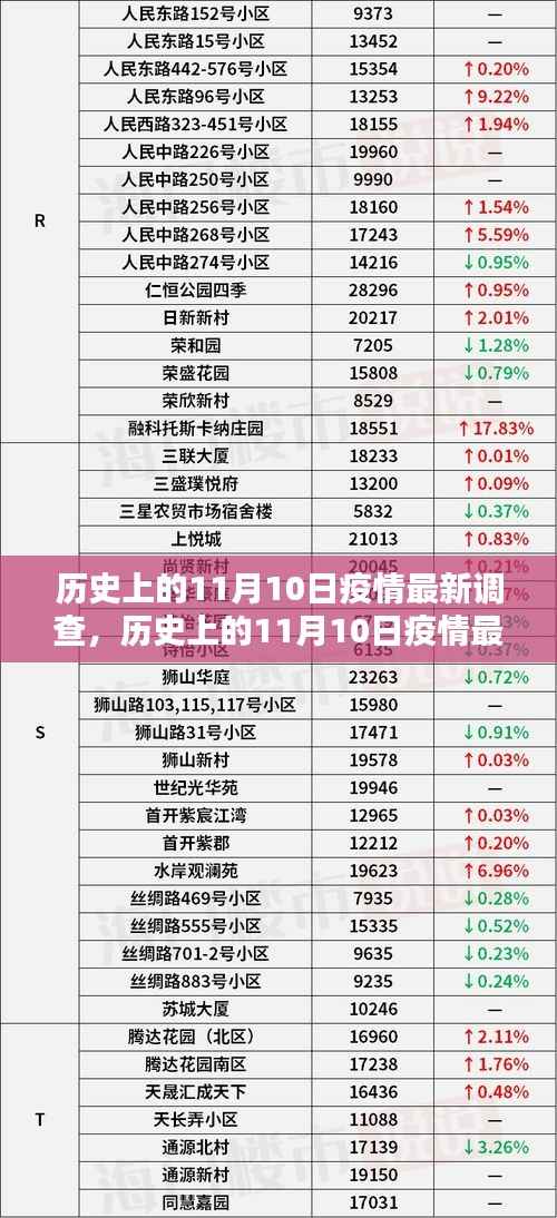 历史上的11月10日疫情最新调查详解,掌握调查方法与技能的步骤