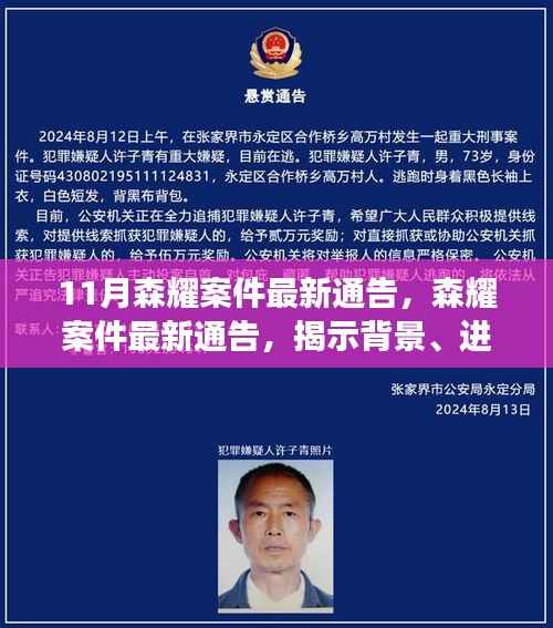 森耀案件最新进展及影响揭秘,背景通告全解析