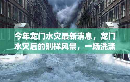 龙门水灾最新动态,灾后风景独特,心灵洗涤的自然探索之旅