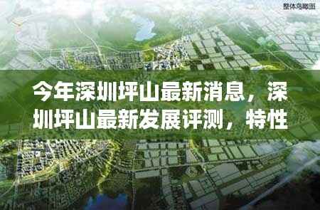 公司概况 第253页