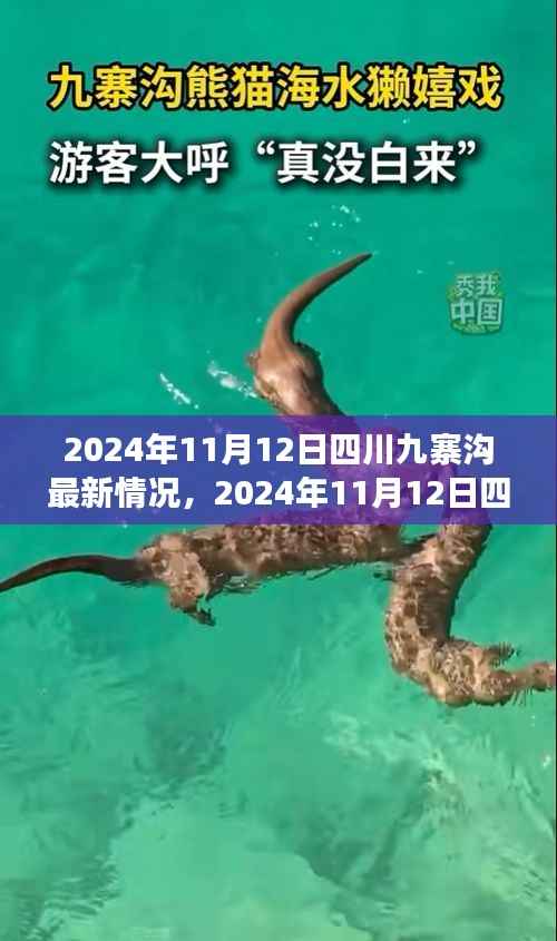 2024年11月12日四川九寨沟最新情况,自然恢复与旅游新篇章开启