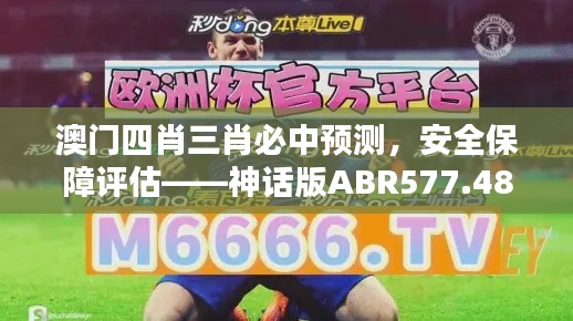 澳门四肖三肖必中预测,安全保障评估——神话版ABR577.48