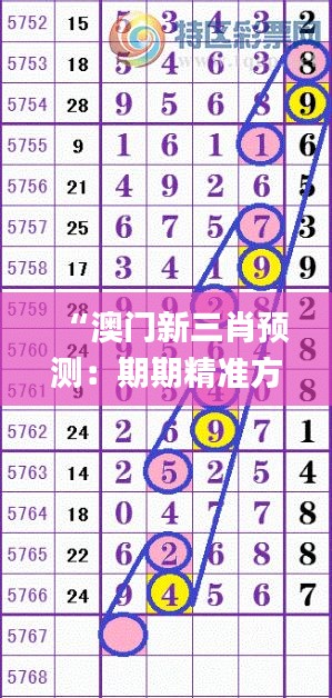 公司概况 第246页