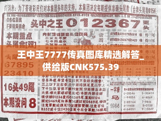 王中王7777传真图库精选解答_供给版CNK575.39