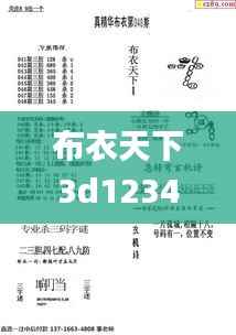 布衣天下3d123456今天,DNS服务_筑基WKE202.52