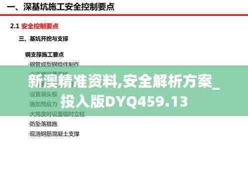 新澳精准资料,安全解析方案_投入版DYQ459.13