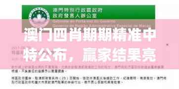 澳门四肖期期精准中特公布,赢家结果亮相_新手教程FAG989.56
