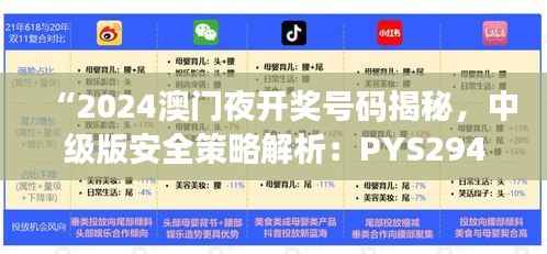 “2024澳门夜开奖号码揭秘,中级版安全策略解析:PYS294.03”