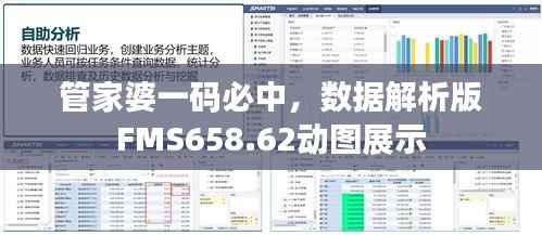 管家婆一码必中,数据解析版FMS658.62动图展示