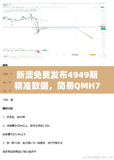 新澳免费发布4949期精准数据,简易QMH749.58综合评估解析