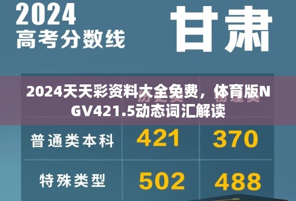 2024天天彩资料大全免费,体育版NGV421.5动态词汇解读