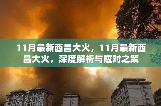 深度解析与应对之策,最新西昌大火事件回顾与前瞻