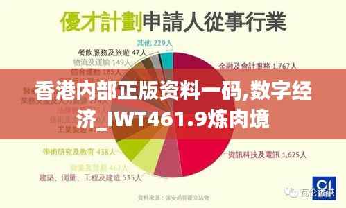 香港内部正版资料一码,数字经济_IWT461.9炼肉境