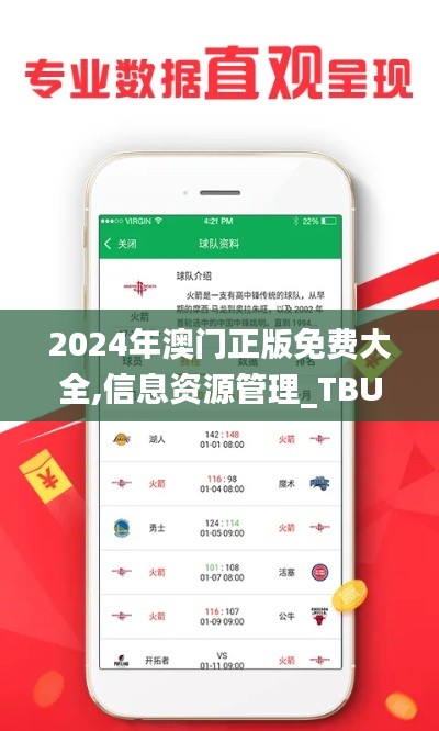 2024年澳门正版免费大全,信息资源管理_TBU646.02九天仙圣