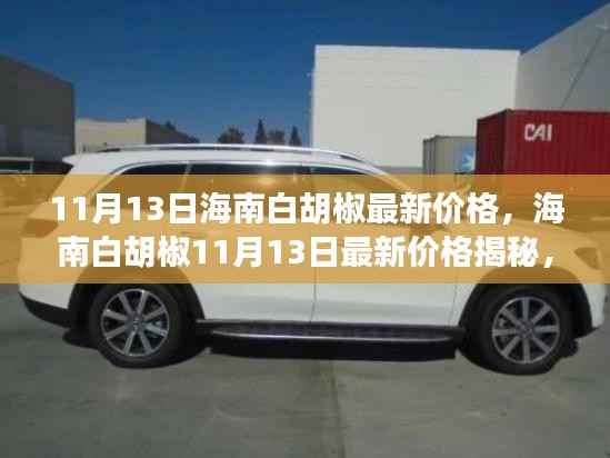 海南白胡椒最新价格揭秘,探寻背后的故事与影响力(11月13日)