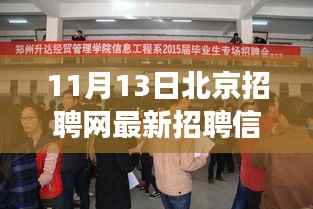 北京招聘网最新动态，聚焦招聘信息下的职场洞察与观点碰撞（11月13日）