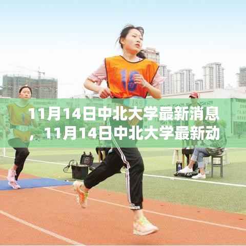 眉飞色舞 第22页