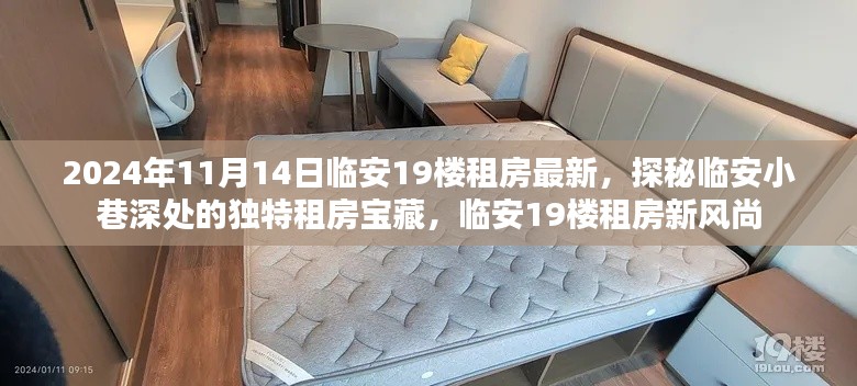 探秘临安小巷深处的宝藏租房,临安租房新风尚,最新房源一览(日期,2024年11月)