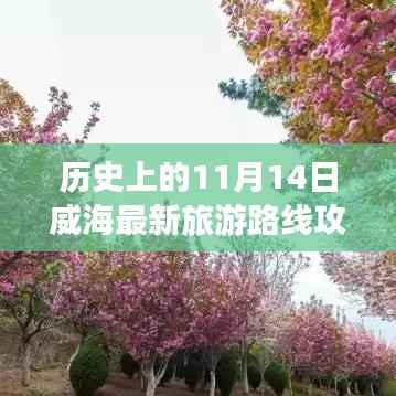 历史上的11月14日威海旅游路线全新攻略,最新旅游路线探索