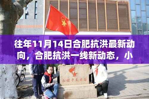 合肥抗洪最新动态,一线故事与特色小店的独特魅力(往年11月14日更新)