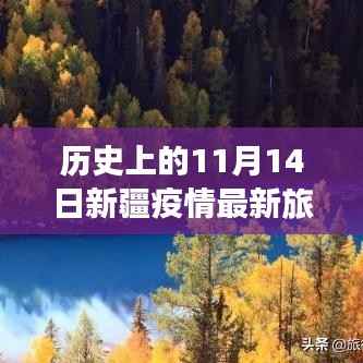 历史的11月14日,新疆疫情最新旅游动态与心灵之旅的宁静与奇迹探寻