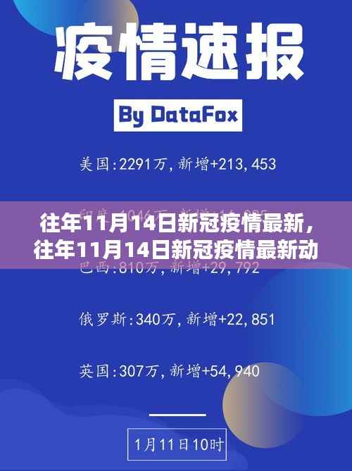 往年11月14日新冠疫情最新动态概览及要点解析