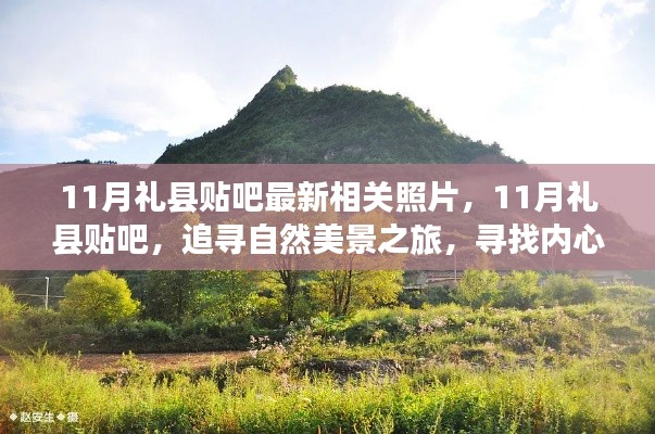 11月礼县贴吧美景追寻,自然之旅与内心宁静的探寻