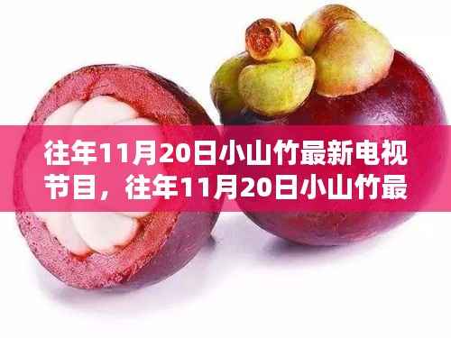 往年11月20日小山竹电视节目盘点及最新节目介绍