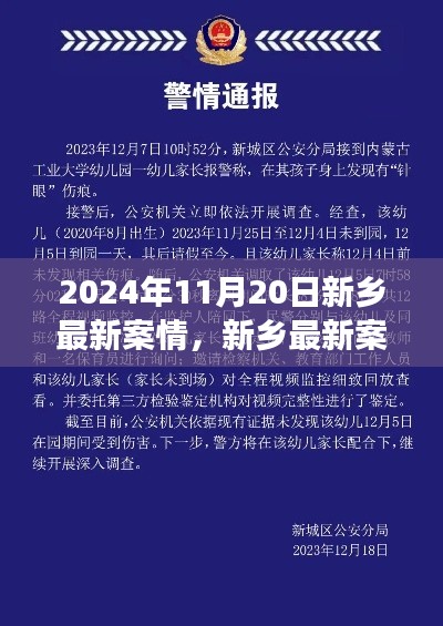 新乡市最新案情解读与未来趋势展望(深度分析)