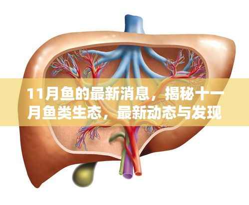 眉开眼笑 第19页