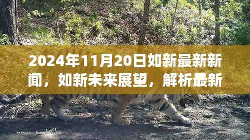 肝胆相照 第19页