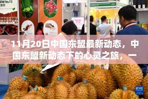 中国东盟新动态下的自然探索之旅,心灵之旅启程