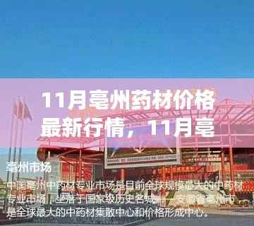 11月亳州药材市场最新行情,变化中的学习,成就感的源泉