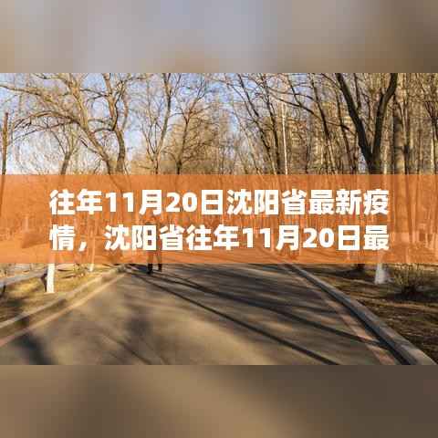 沈阳历年11月20日疫情概况及防控进展详解,最新动态与防控要点全解析