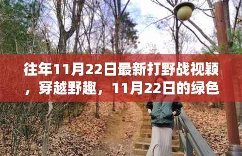 往年11月22日最新打野战视颖，穿越野趣，11月22日的绿色冒险之旅，寻找内心的宁静与平和