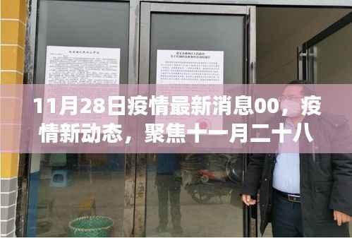 聚焦全球疫情动态,十一月二十八日最新进展与影响分析