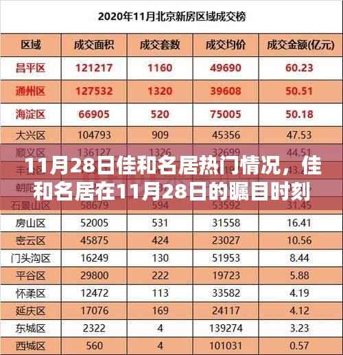 佳和名居11月28日瞩目时刻,回溯与影响分析
