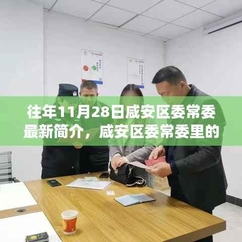 咸安区委常委的温暖日常，趣事与情感纽带，11月28日的简介与日常纪实