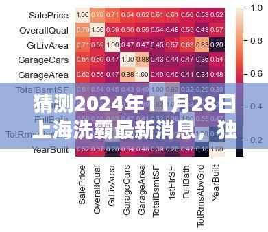 独家解析,预测上海洗霸科技前沿动态三大要点——2024年11月28日最新消息揭秘