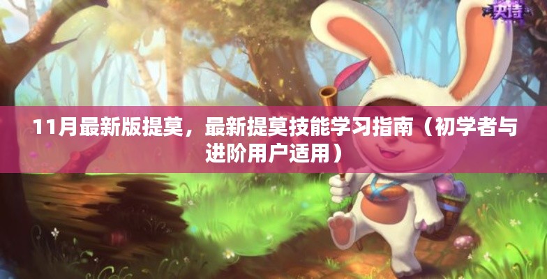最新提莫技能学习指南,从初学者到进阶用户的全方位指南(11月最新版)