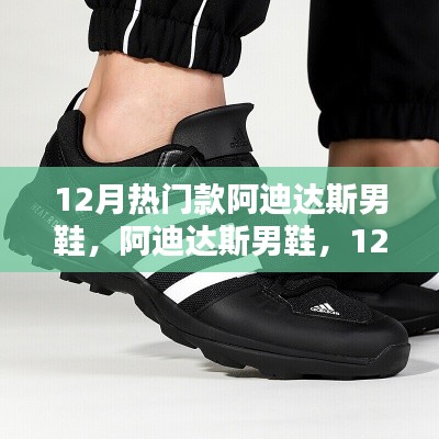 12月热门款阿迪达斯男鞋,潮流之巅的辉煌印记