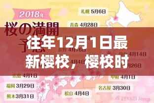 十二月绽放,樱校时光里的学习变革与自信成就的种子