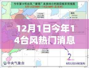 揭秘台风背后的隐藏小店故事,探寻巷弄秘境,台风热门消息一览