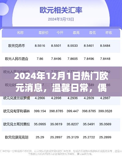 偶遇大新闻日,2024年欧元消息与温馨日常的奇妙旅程