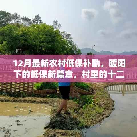 农村低保补助新篇章,暖阳下的十二月温情纪事